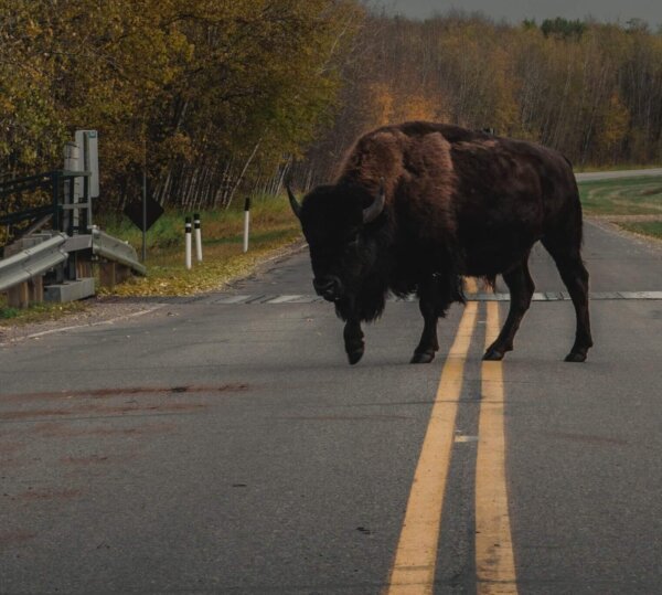 Sur la route de nos objectifs, nous aurons à surmonter des obstacles