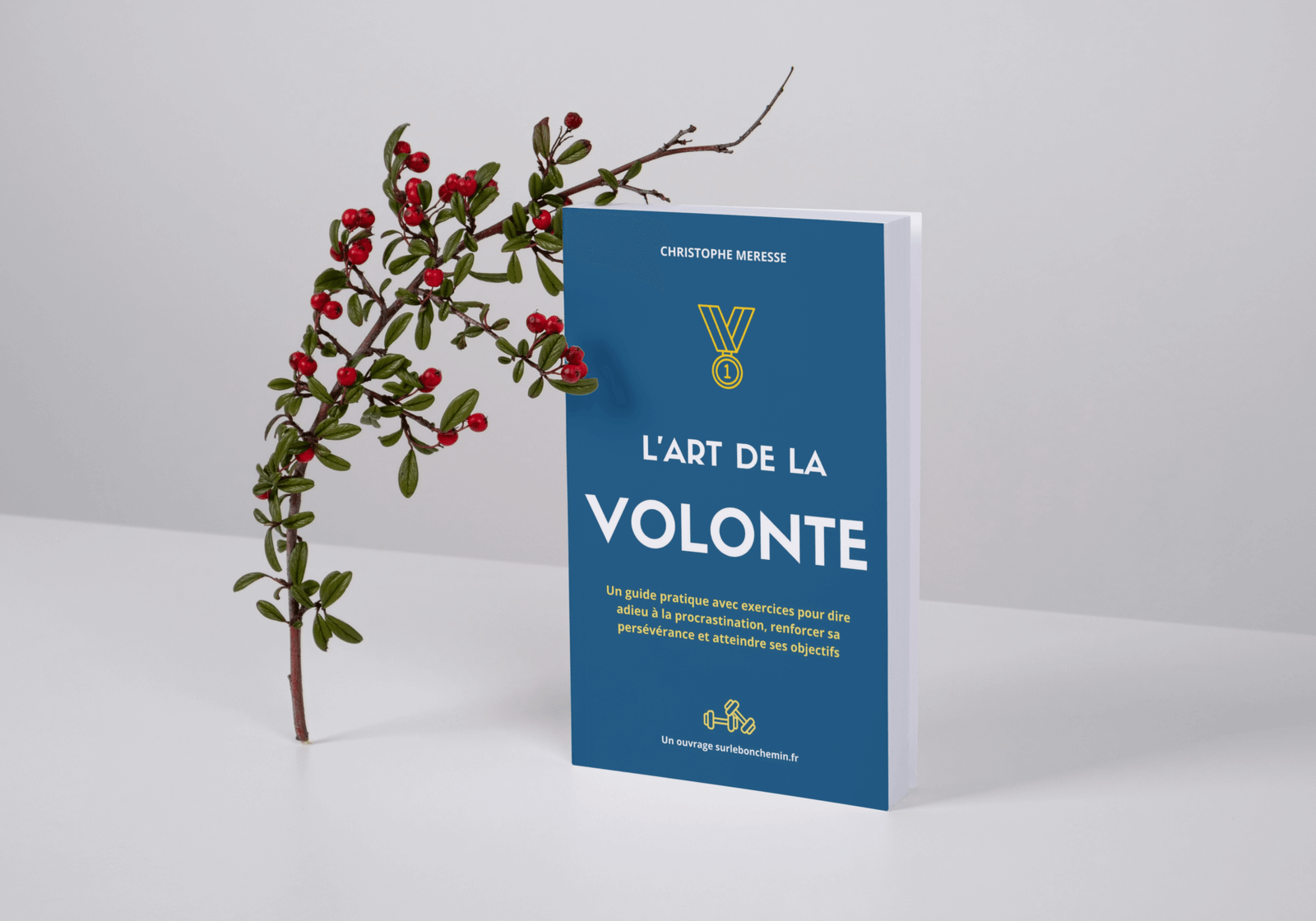 livre pour développer sa volonté, motivation vaincre la procrastination présenté verticalement