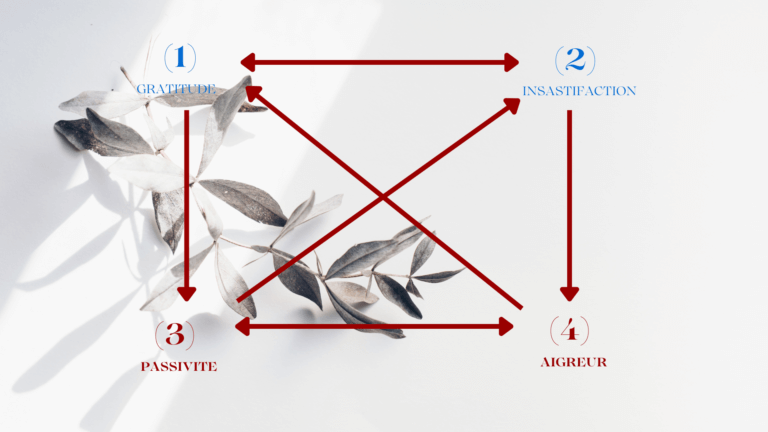 Le quadrant des valeurs appliquée à la gratitude pour équilibrer nos valeurs et contre balancer nos contre valeurs